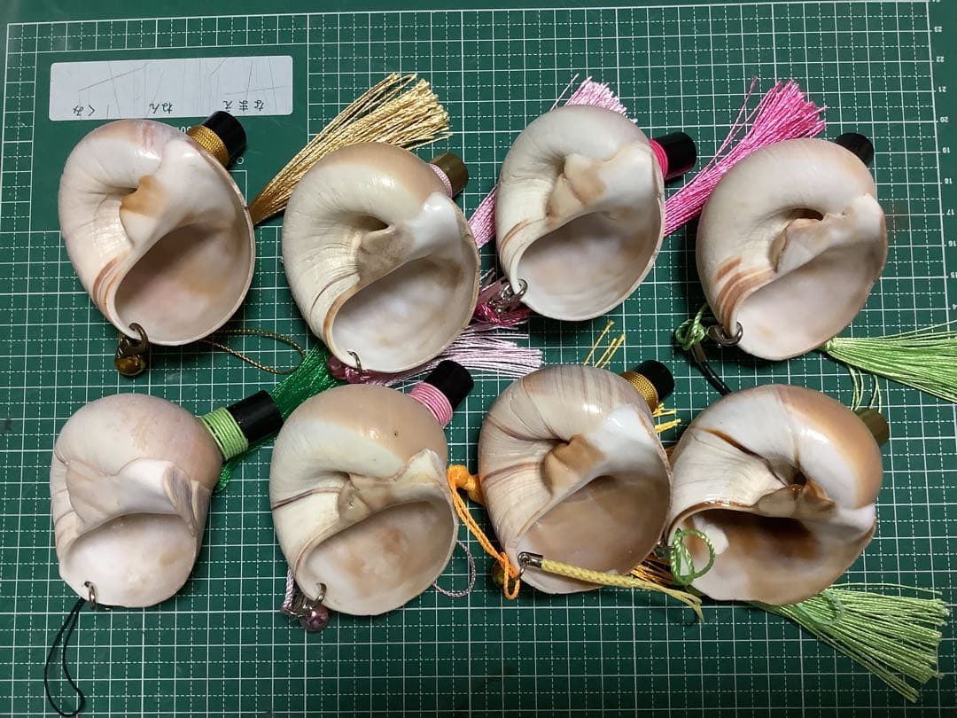 ヤフメリ39・ツメタガイ・法螺貝・山伏・修験者・金峯山・羽黒山・戦国武将・国宝