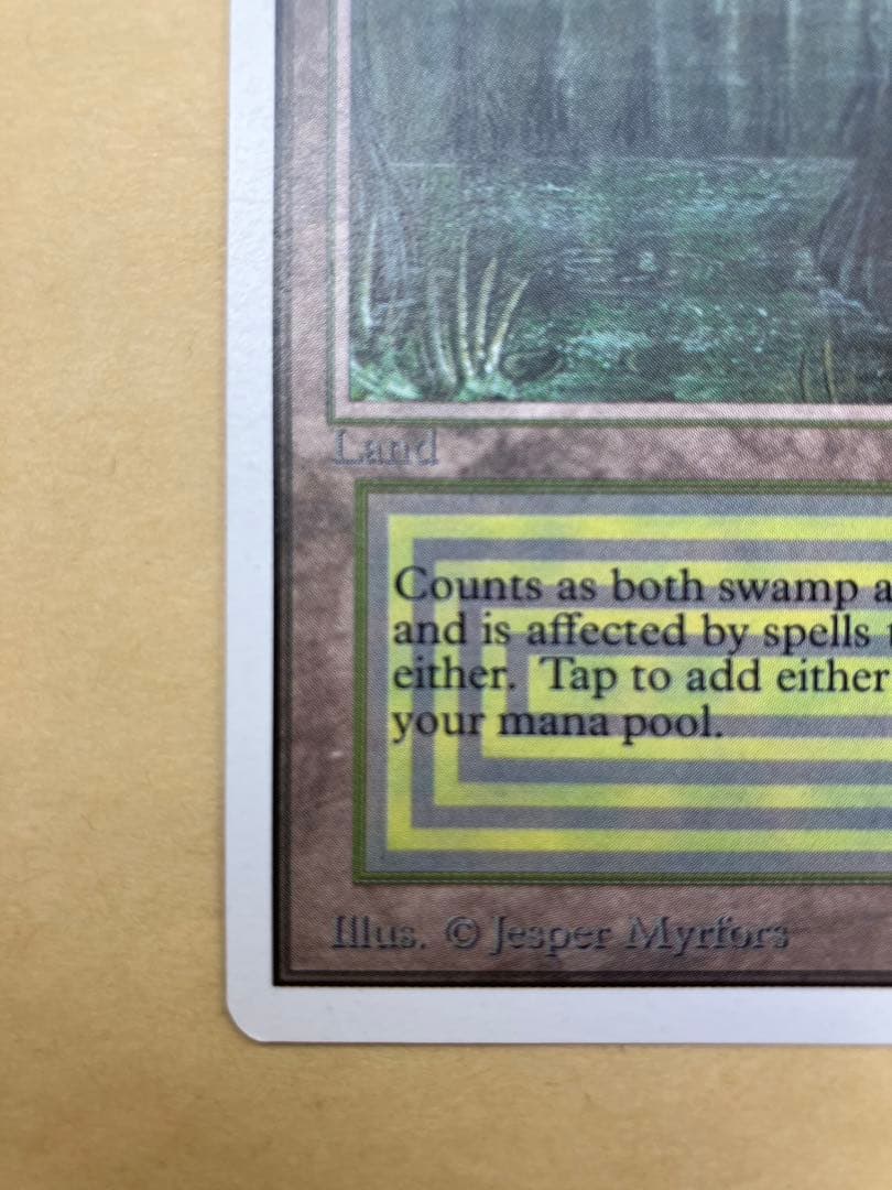 MTG Bayou unlimited 英語版 美品（ニアミント）