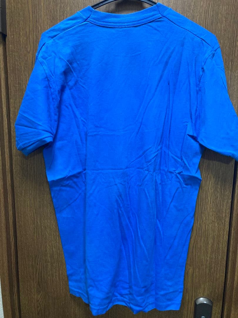 激レア Sonic Youth Tシャツ 旧フルーツタグ