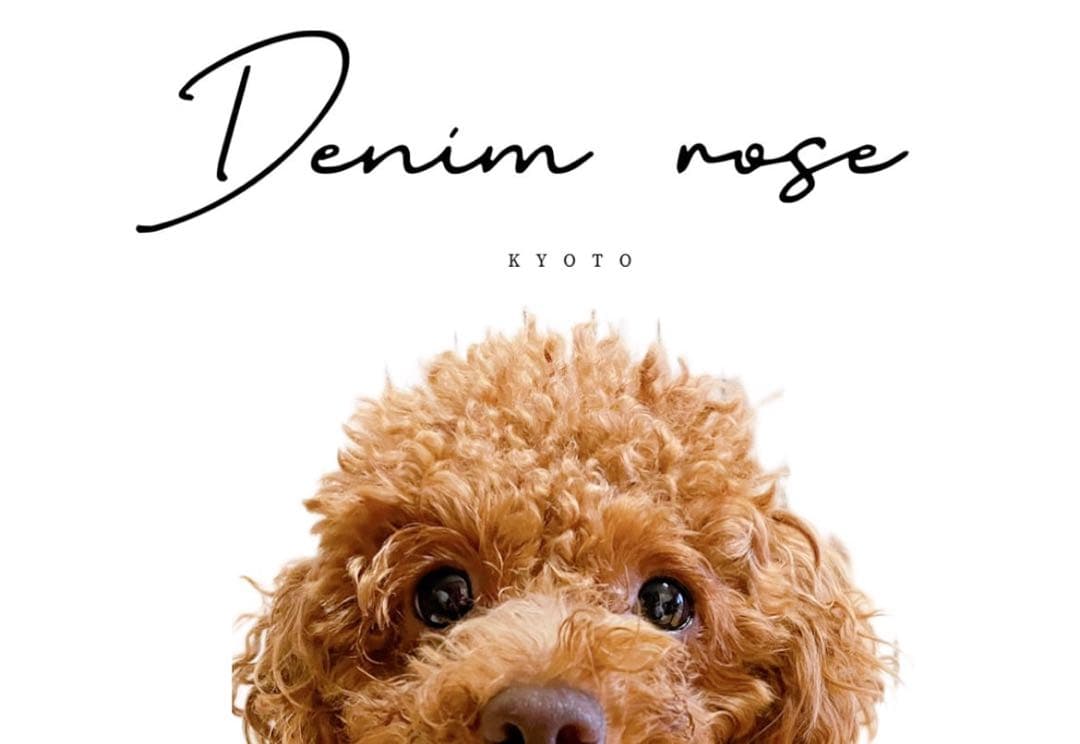 デニムローズ　ワッペンボアジャケット