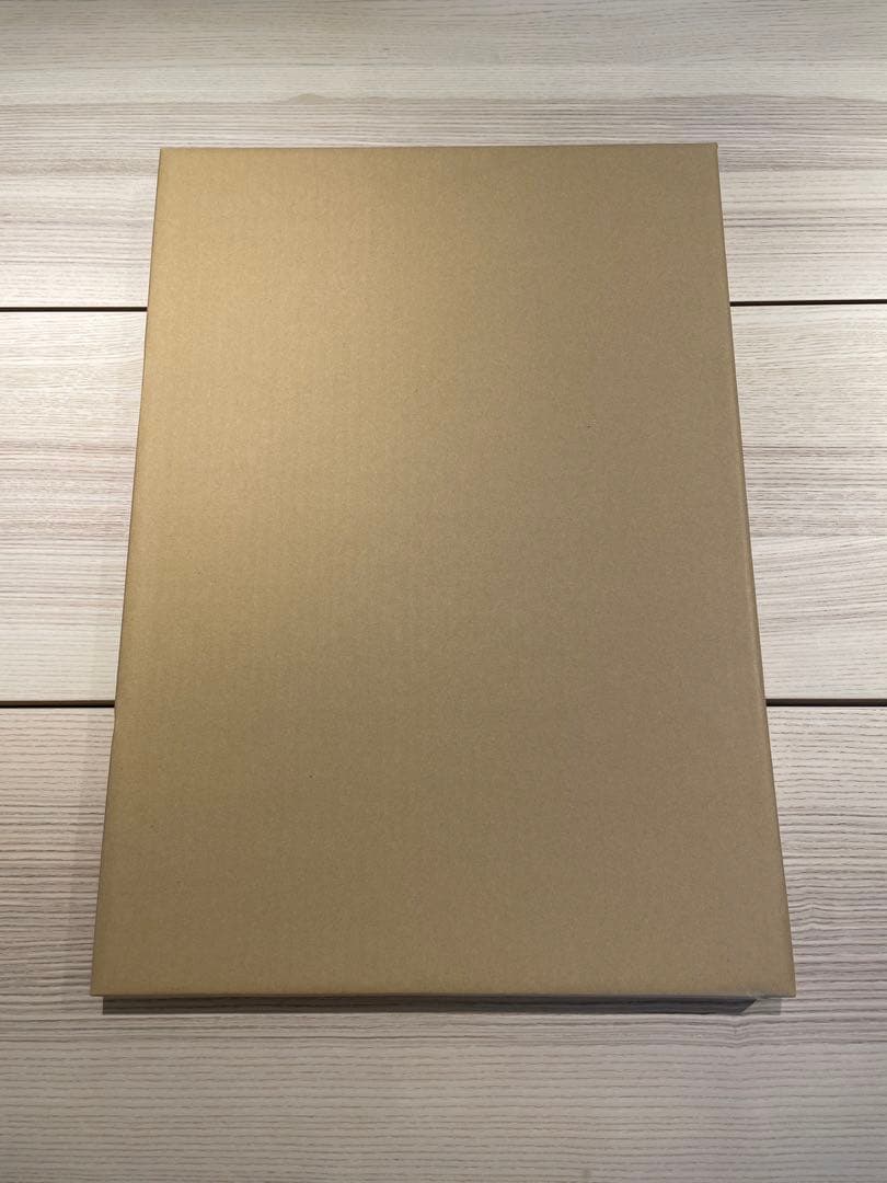 【ジンプラ額装】KYNEシルクNONCHELEEE 『Untitled