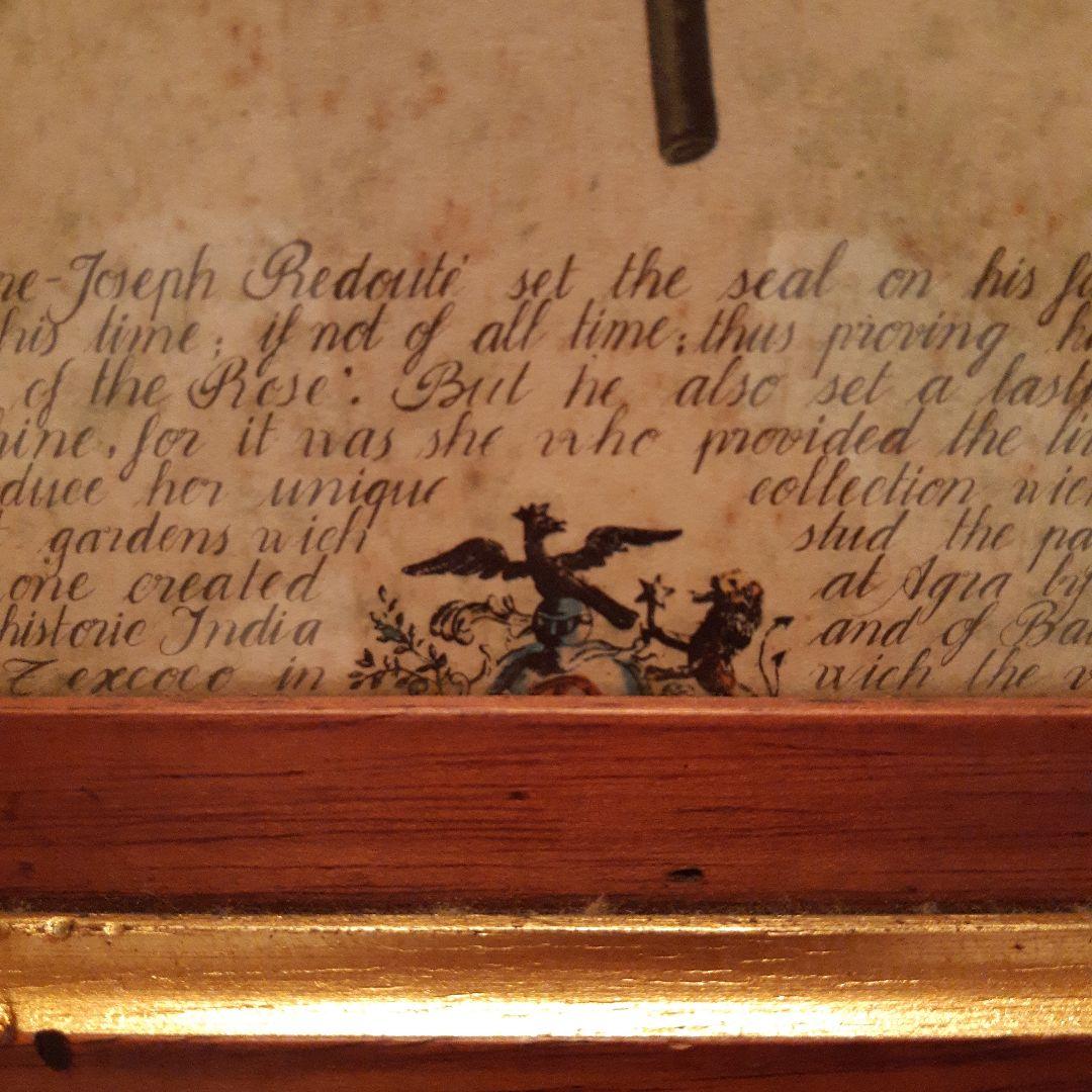 P.J.ルドゥーテ　薔薇　プリント　絵　額