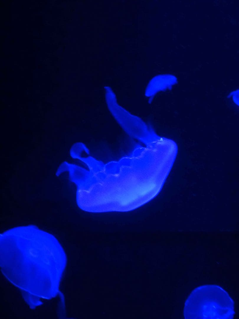 大幅値下げ中！Cyber-shot HX7V 動作品