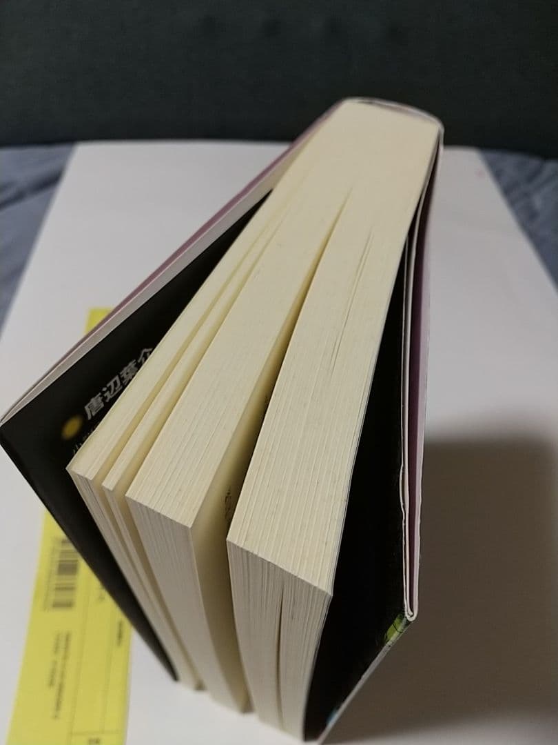 電気サーカス 唐辺葉介