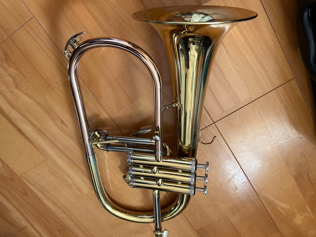 j.mickael FG-500 マウスピース ケース付属