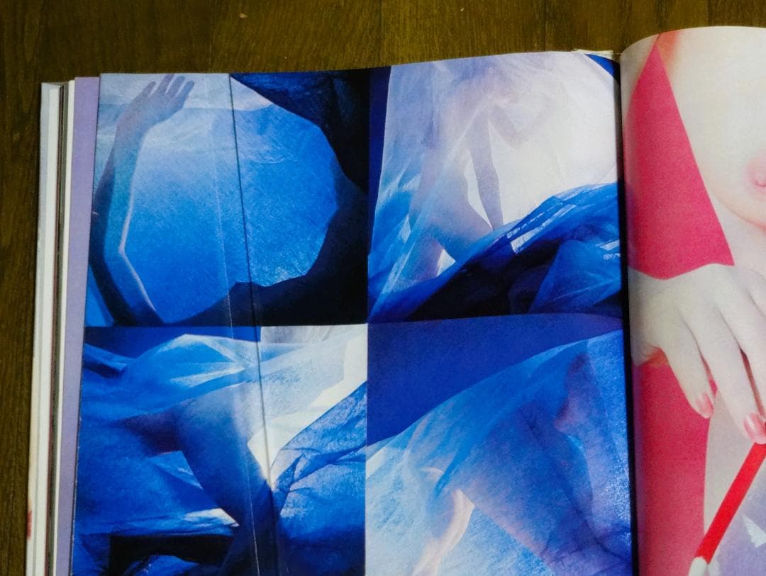 JAPANESQUE　ジャパネスク　 奈良原一高