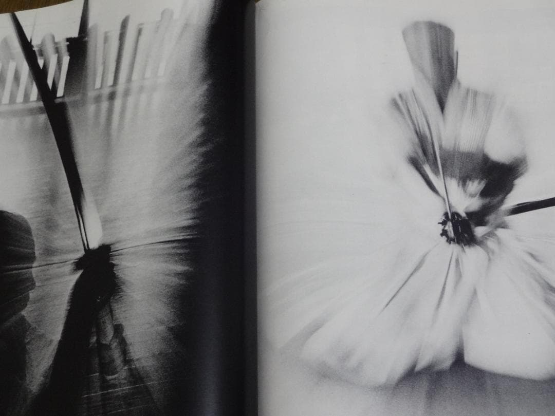 JAPANESQUE　ジャパネスク　 奈良原一高