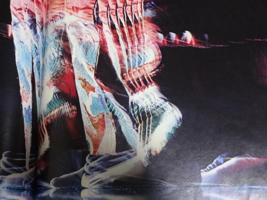 JAPANESQUE　ジャパネスク　 奈良原一高