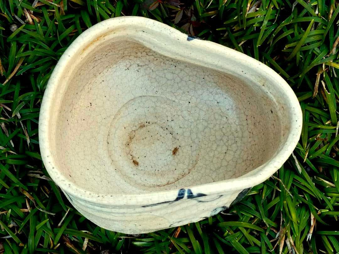 ♥美濃焼　志野　茶碗　桐箱　仕覆　付き　骨董品