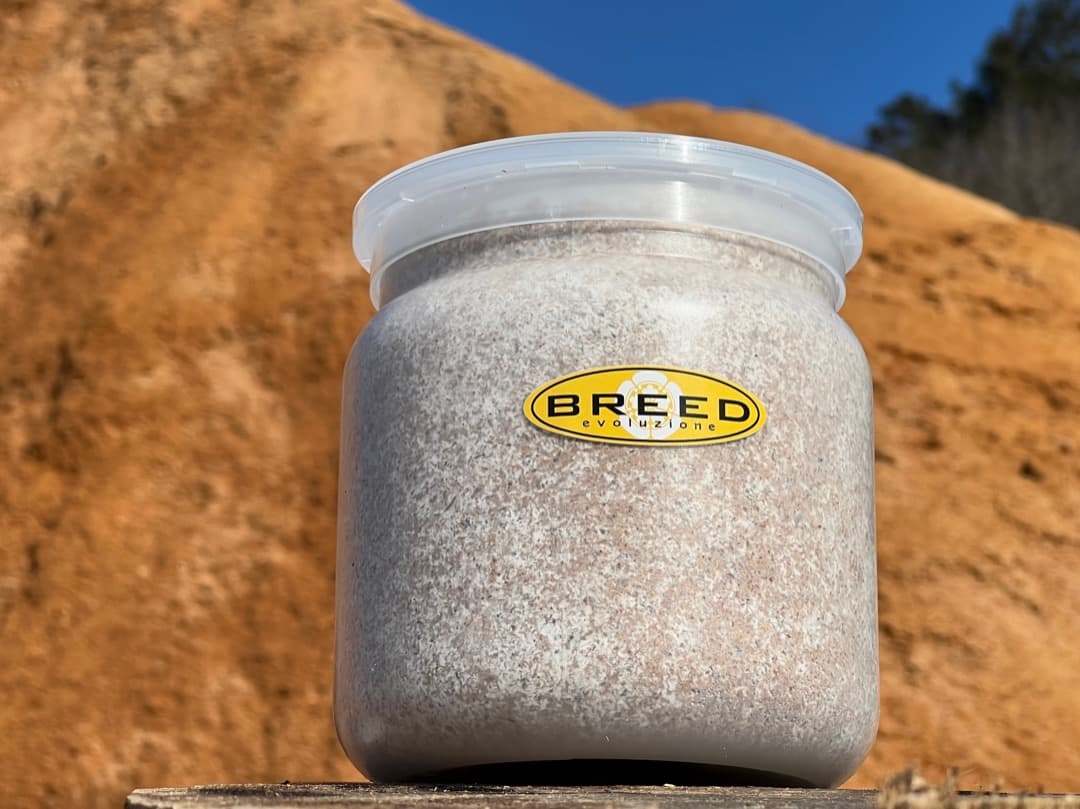 BREED　NEW１５００菌糸ビン　１０本　m0328y様