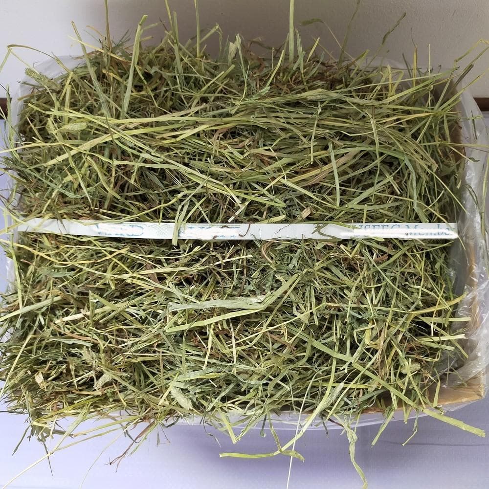 【業販価格】US産 チモシー 180kg ２番刈 ソフトSプレミアム