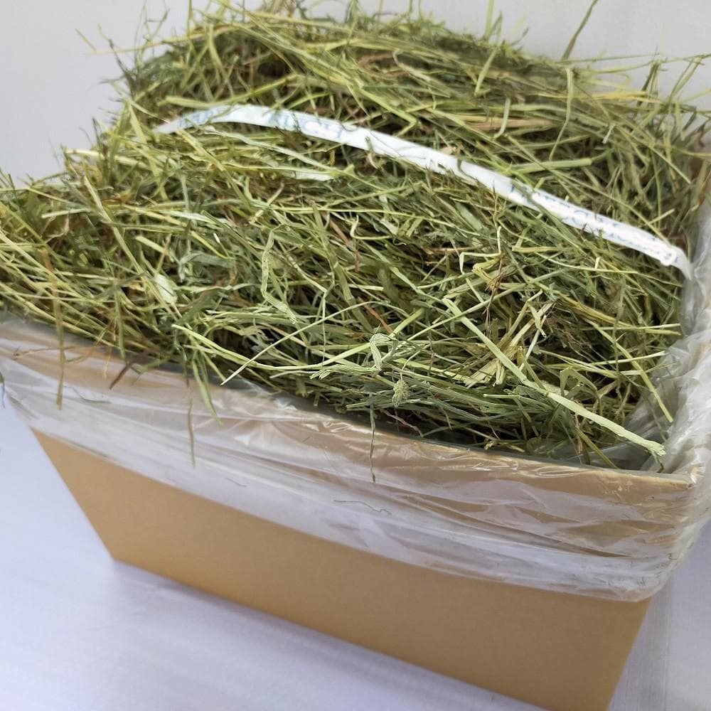 【業販価格】US産 チモシー 180kg ２番刈 ソフトSプレミアム