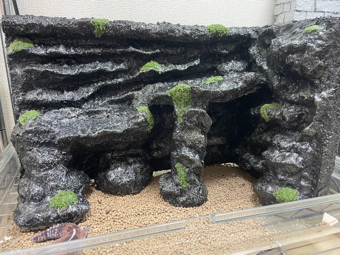 爬虫類レイアウト用品　グラスハーモニー　グラステラリウム　爬虫類ケージ