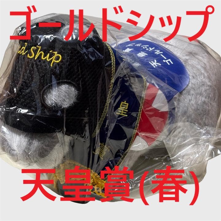 ゴールドシップ アイドルホース 競馬 ぬいぐるみ AVANTI ウマ娘 新品F①