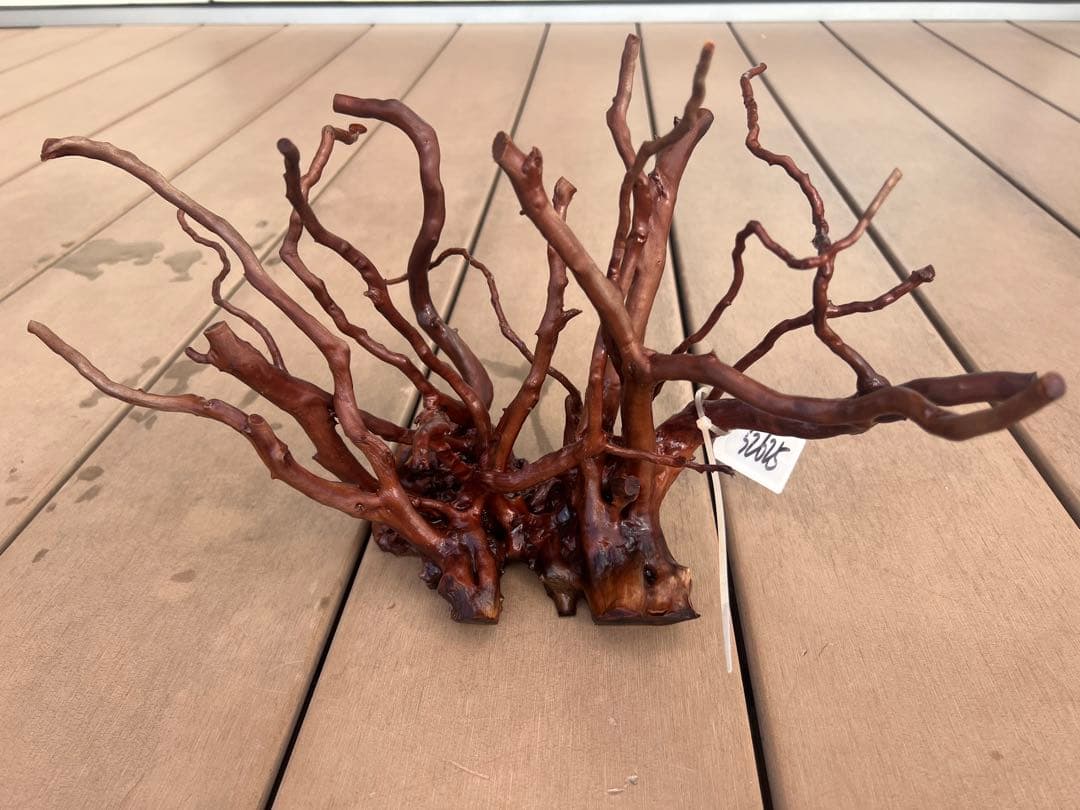32625 ブランチウッド　流木　アクアリウム 沈水確認済