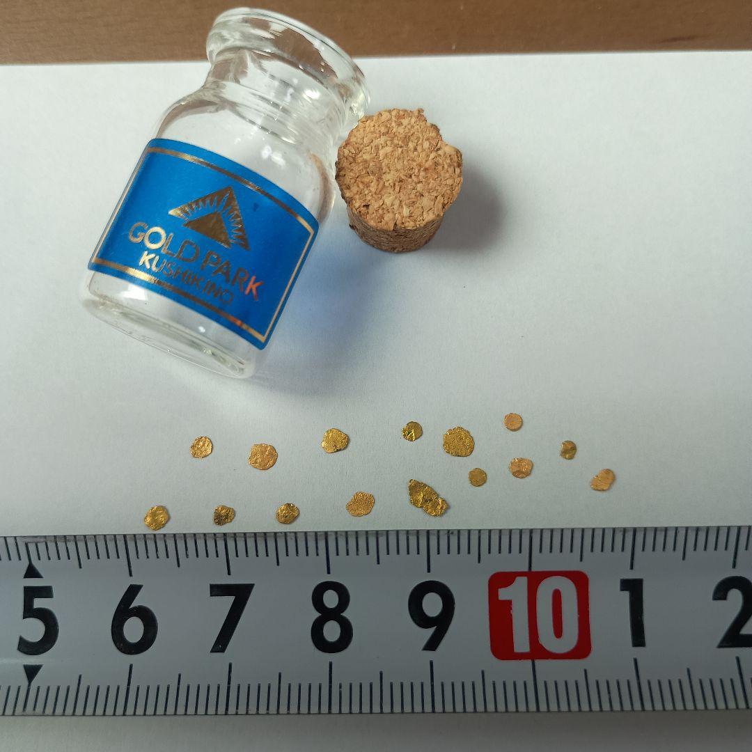 砂金　ゴールドパーク串木野　約１５粒