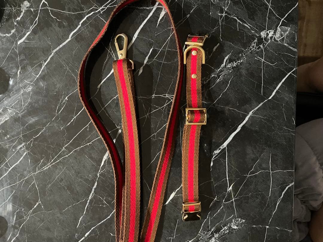 犬首輪リードセット　COLINATE 新品　アプリコット色　正規品