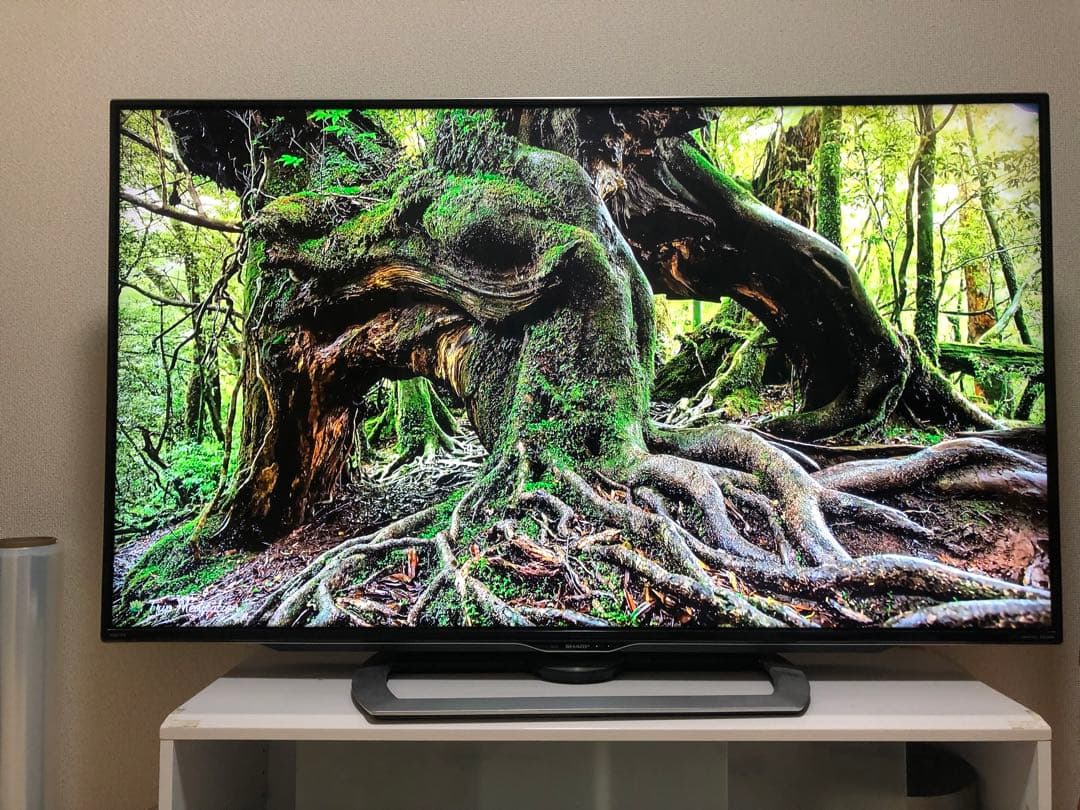 SHARP　AQUOS　55インチ4K 液晶テレビ
