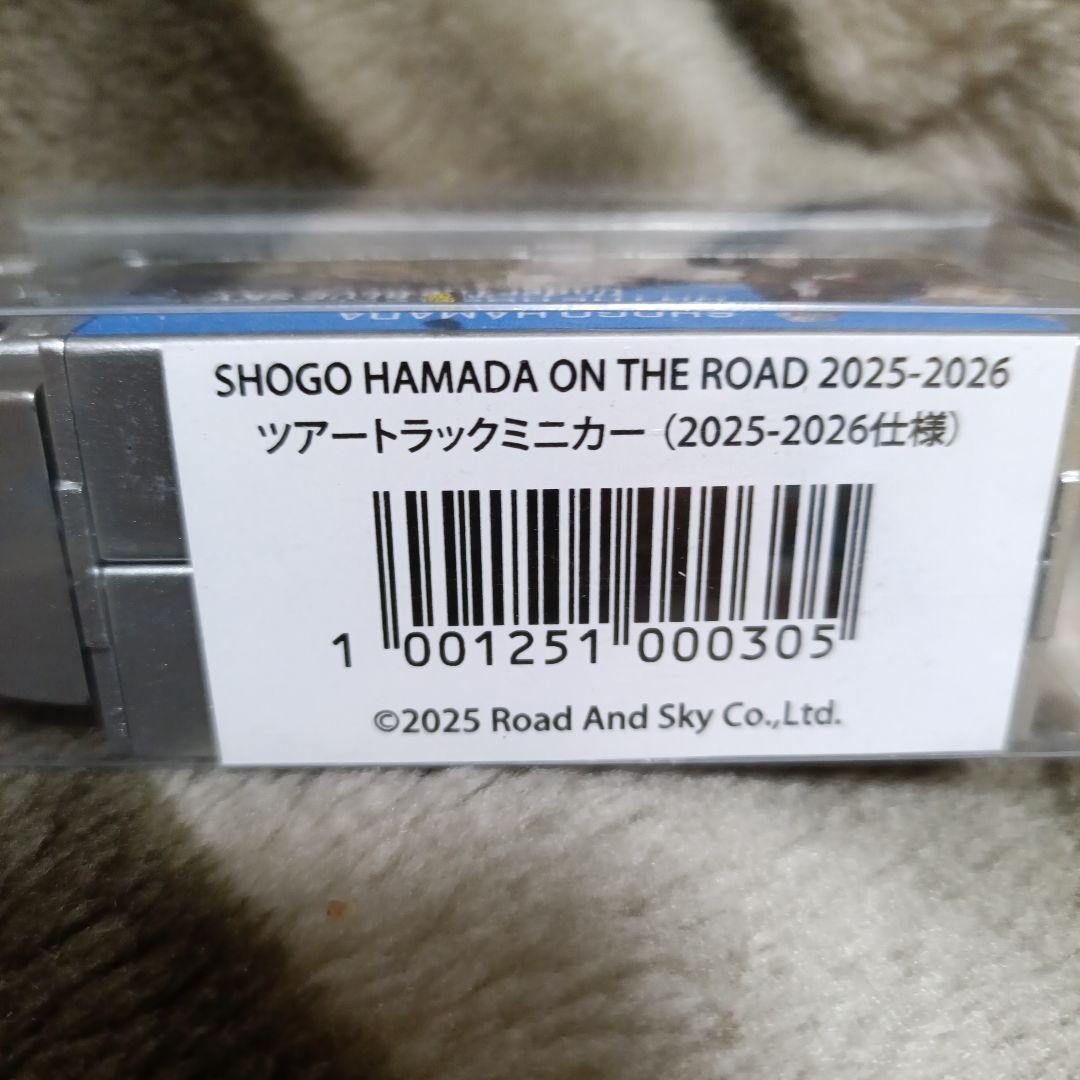 浜田省吾ミニチュアグッズセット