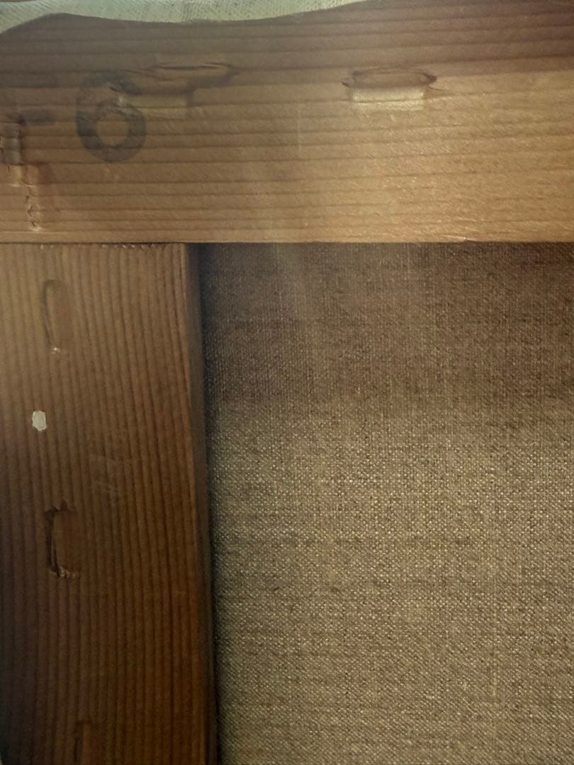 松哲也　時空　蝶の変化を描いたアート作品　送料込み0321