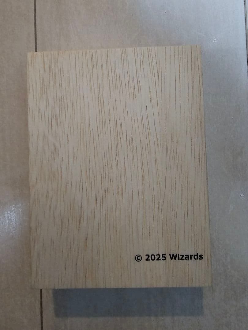 ステンレストークン　手掛かり　モーグリ　トレカケース　マジック大戦祭　大人気