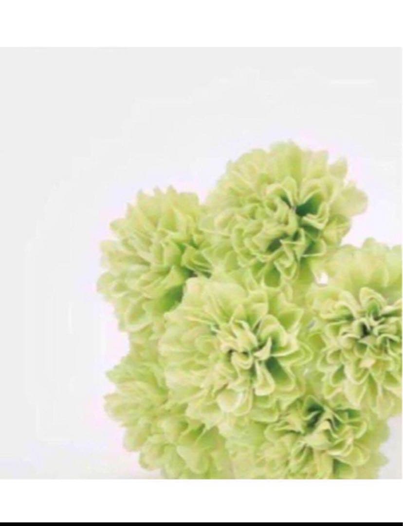 yuume ★美容原液★