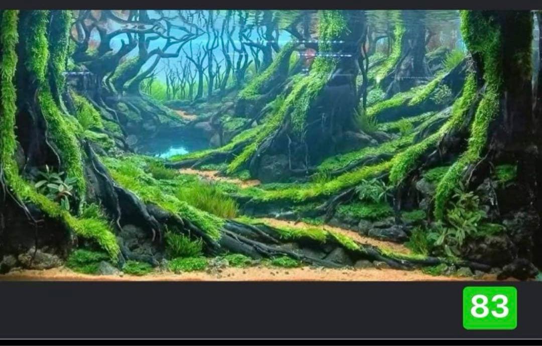 盆栽流木　　水草用の 流木。流木アクアリウム　パルダリウム　マシンガンウッド