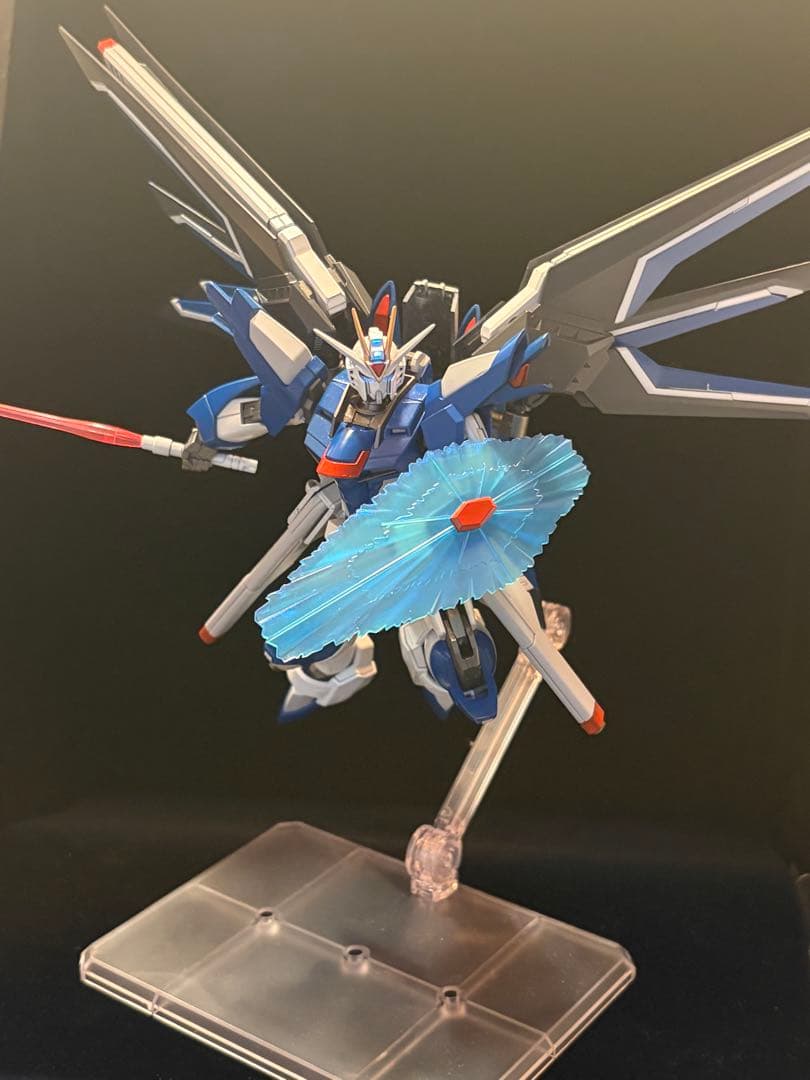 HG 1/144 ライジングフリーダムガンダム　全塗装+LED仕様
