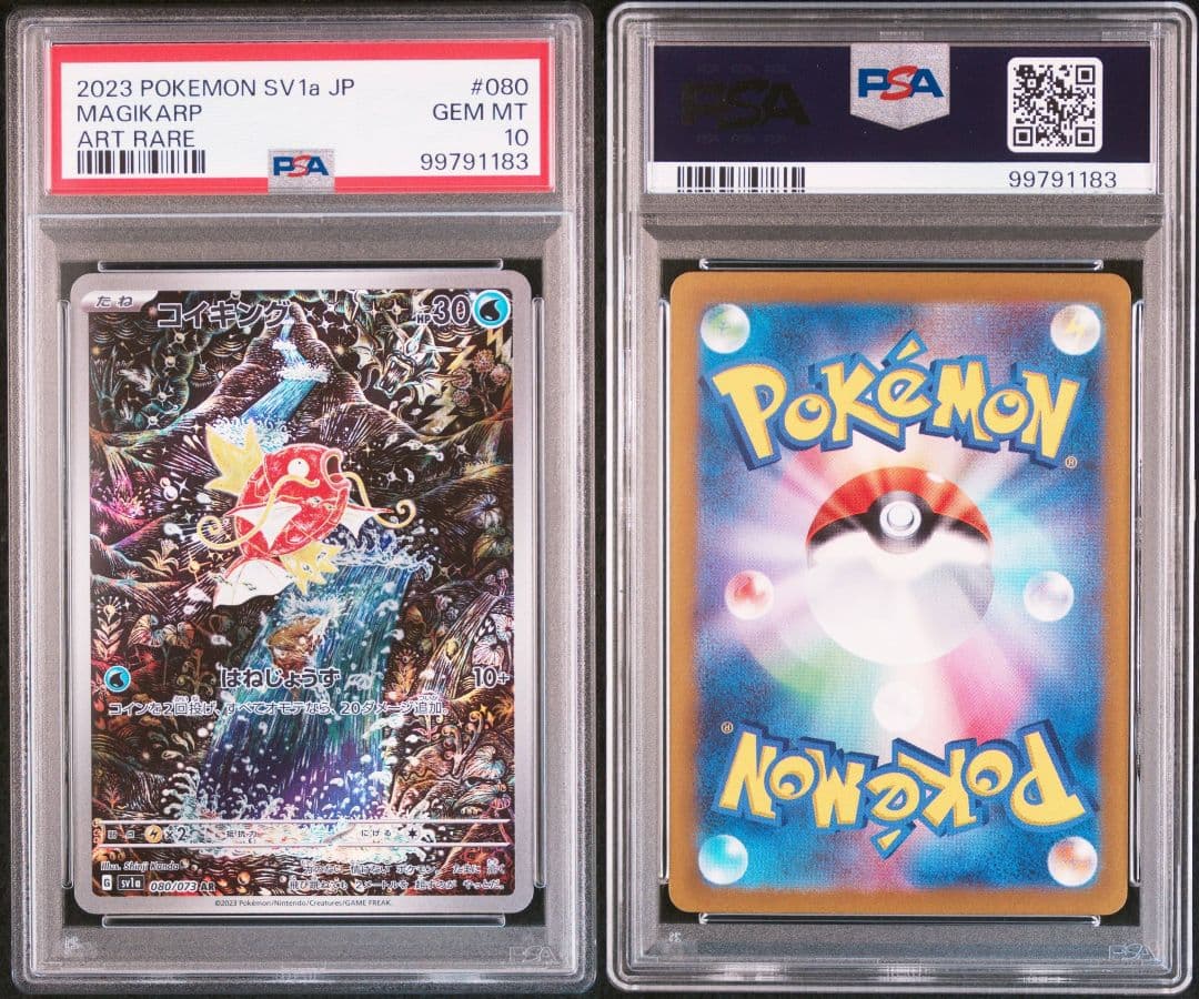 コイキングar psa10 最新ケース