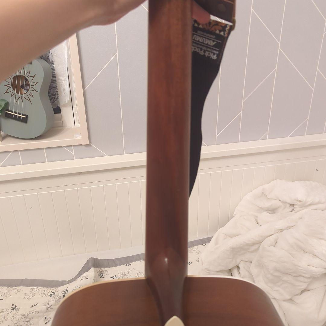 Gull's Eye 3 アコースティックギター