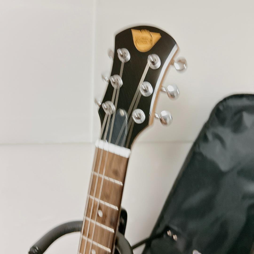 美品 Pignose ピグノーズ PGG-200FM レッド アンプ内蔵ギター