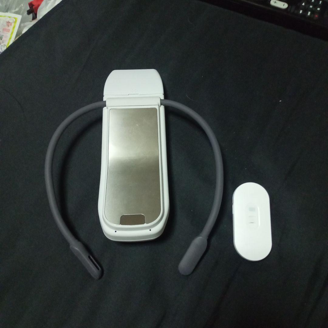 SONY　REON POCKET PRO