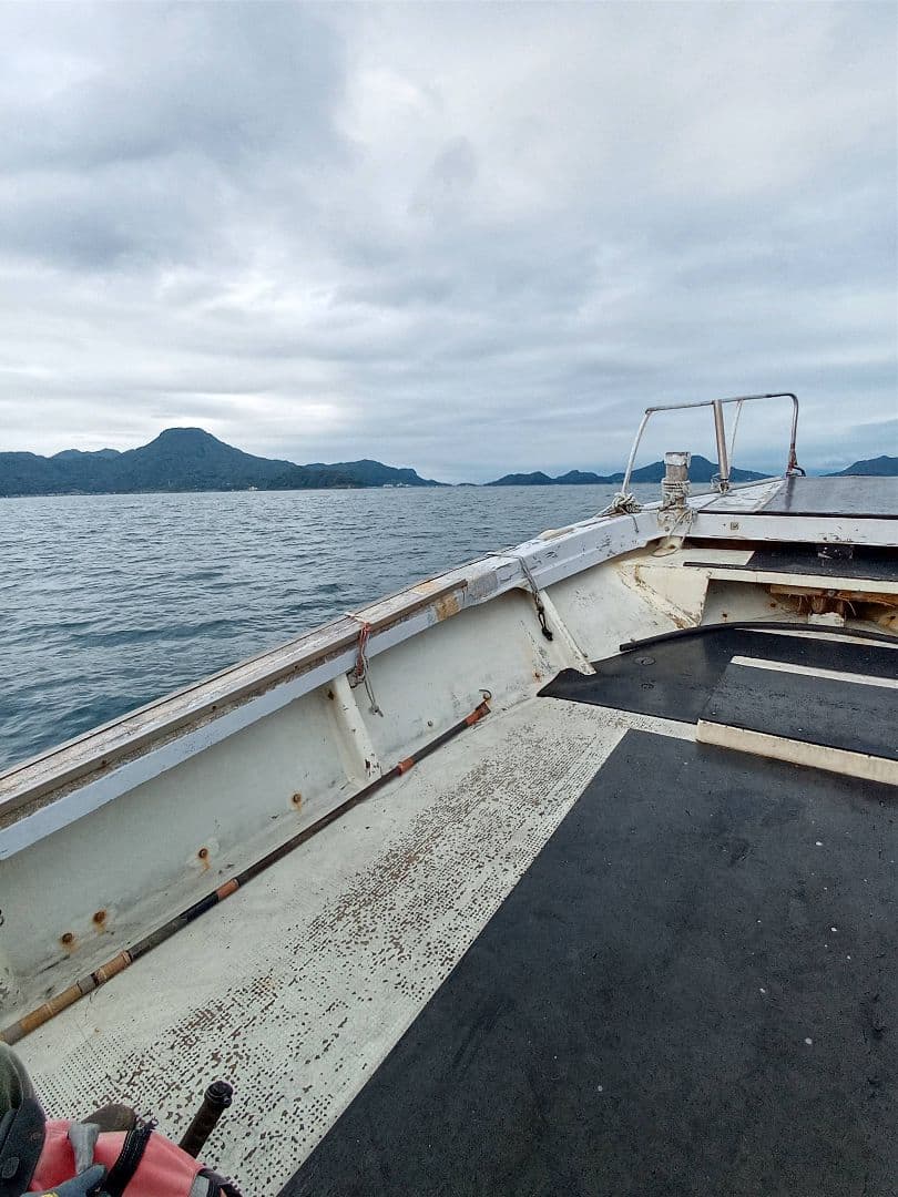 九州産　アンモナイト　プロテキサナイテス　超特大　希少　博物館展示級