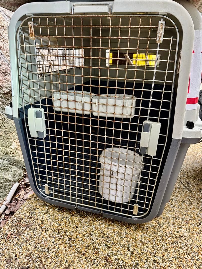 飛行機　犬 キャリーケース ペット エアトラベルキャリー ペット用ケージ