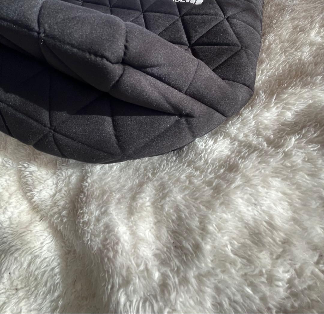 ノースフェイスGeoface Tote