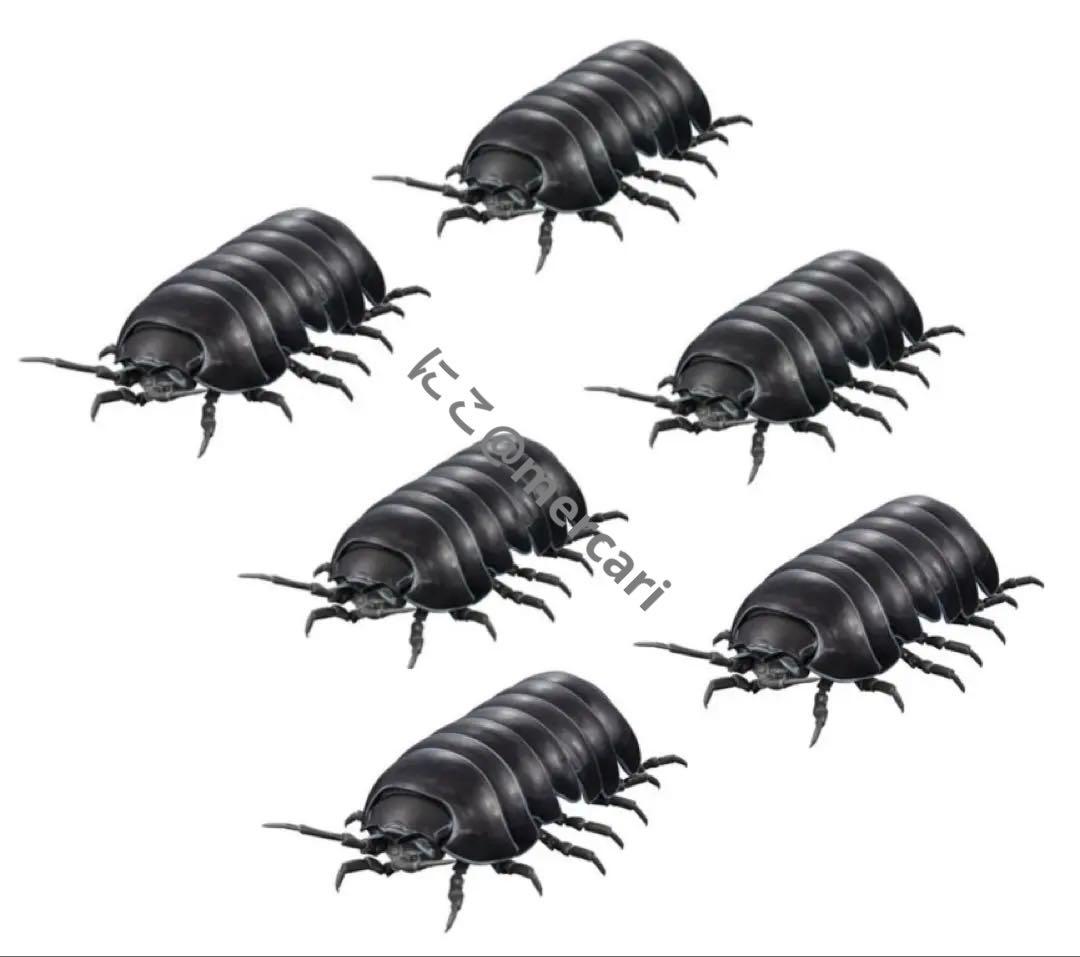 6個セット　いきもの大図鑑アドバンス　ダンゴムシ　だんごむし　フィギュア