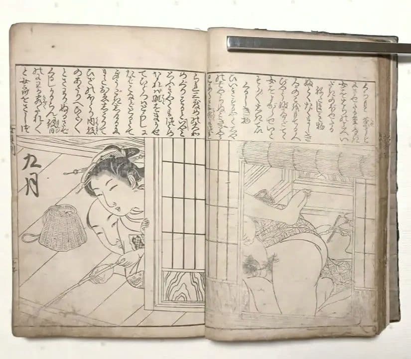 貴重春画大型本黒摺版画、女貞訓下所文庫月岡雪鼎画、明和5年頃出版（1768頃)