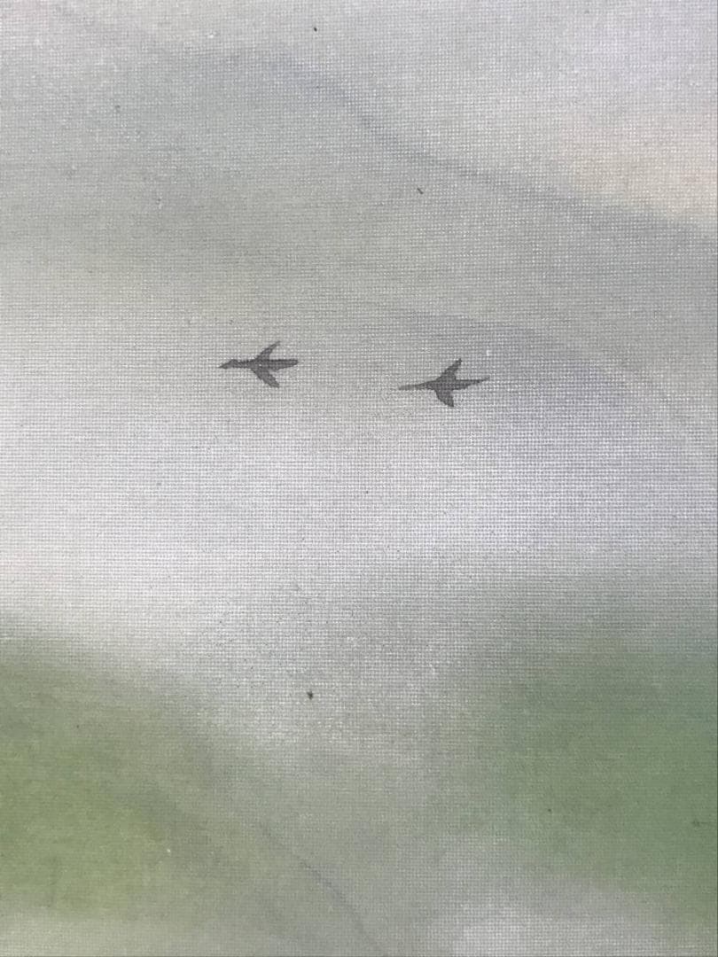 【真作】坂下ショウ/山湖鴛鴦図/オシドリ図/横物/掛軸/名家伝来/AD-759