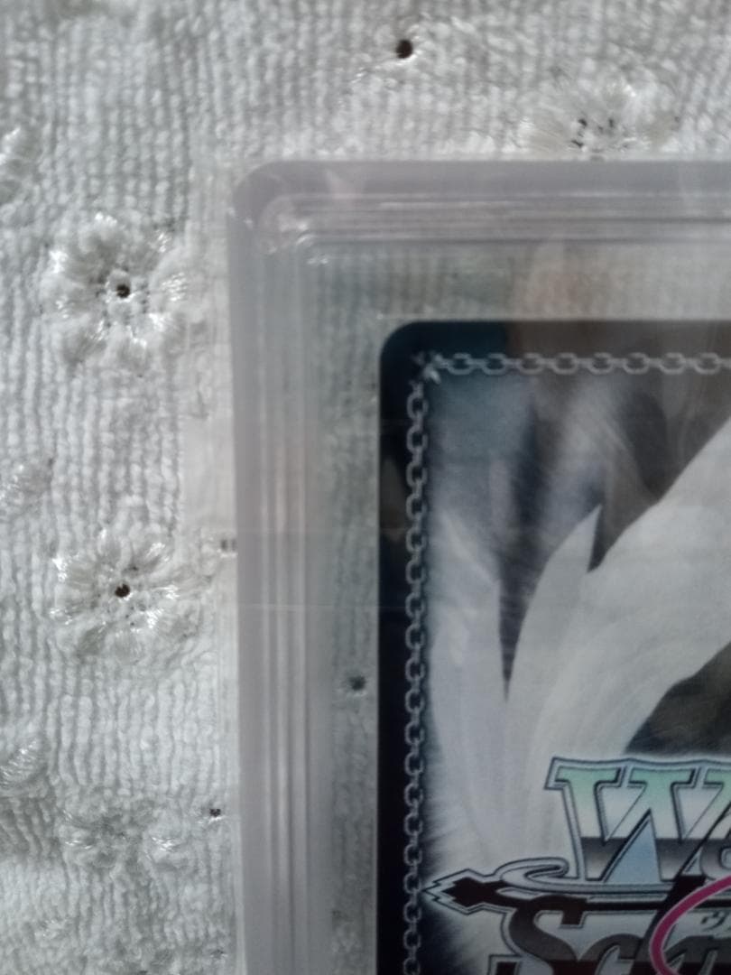 ヴァイスシュヴァルツロゼ SSP 眩い柔肌 シャチ ARS AU