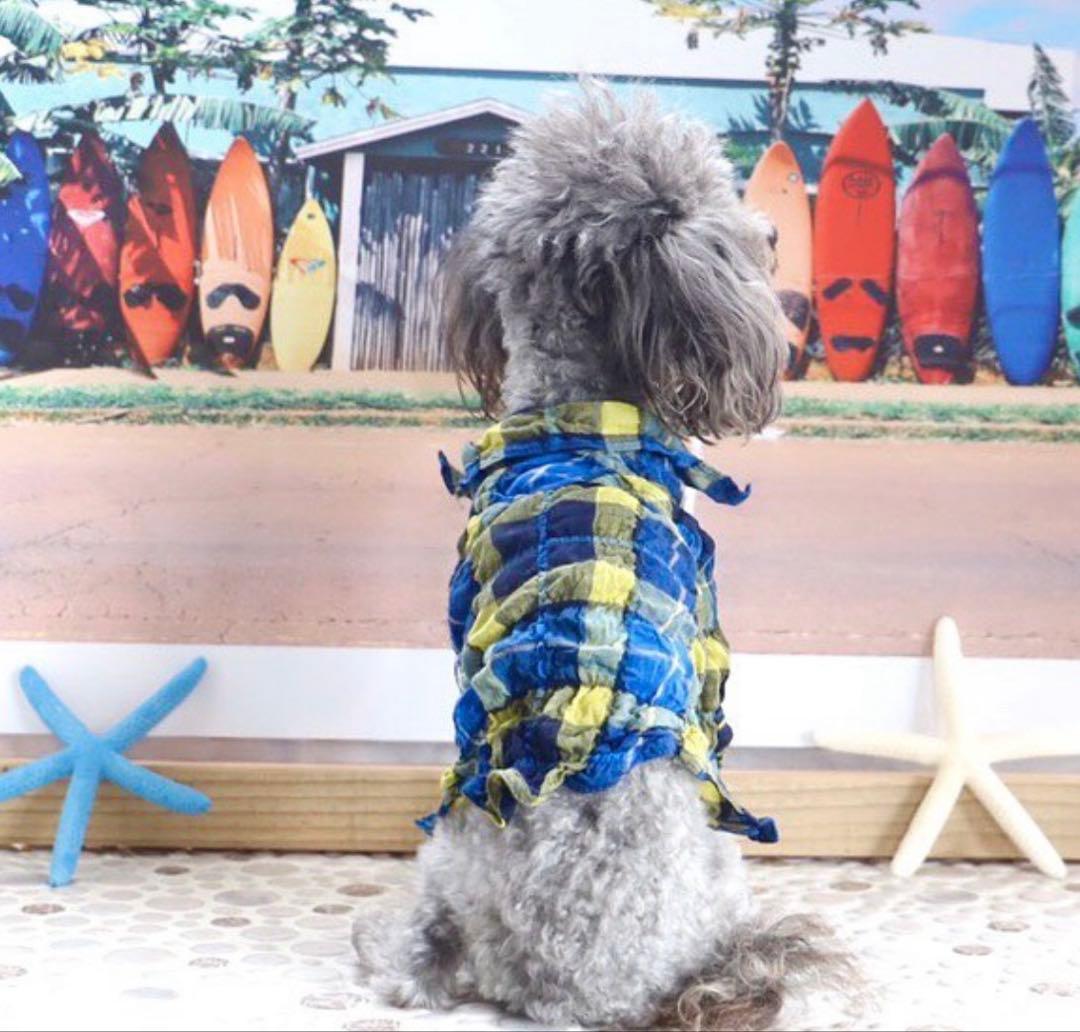 アトリエgg ブルーアイランド　シャツ　サイズ2 AtelierGG