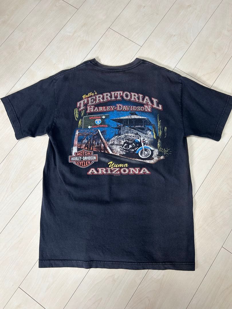 harley davidson パープル ファイヤー フレイム カニエウエストL