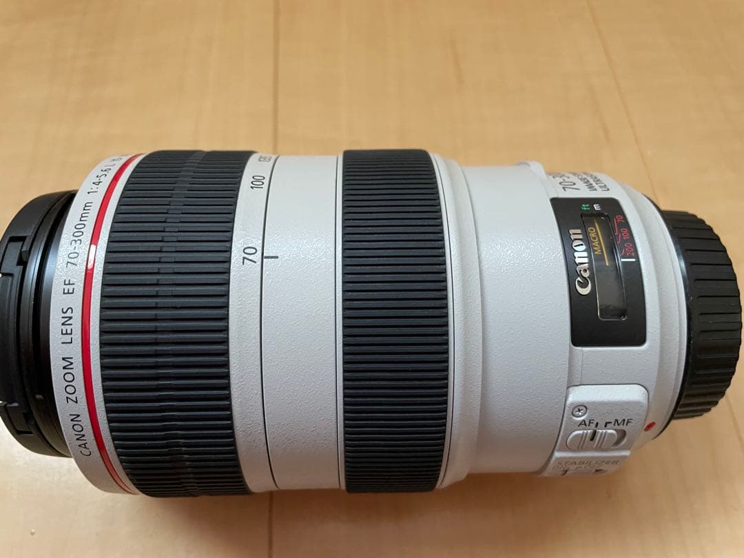 Canon EF 70-300mm f/4.5-5.6L ズームレンズ