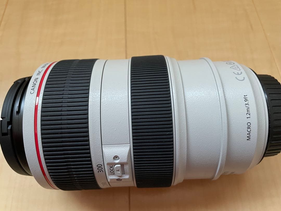 Canon EF 70-300mm f/4.5-5.6L ズームレンズ
