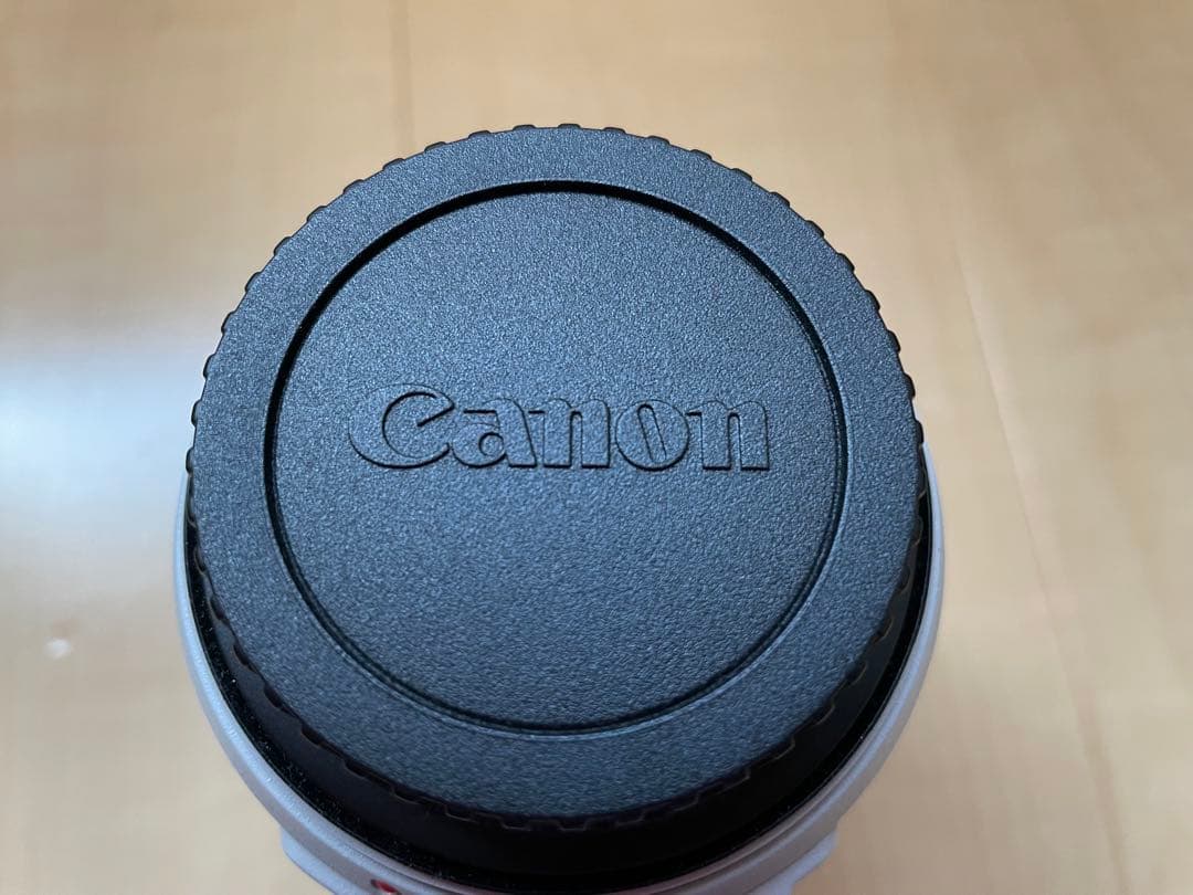 Canon EF 70-300mm f/4.5-5.6L ズームレンズ