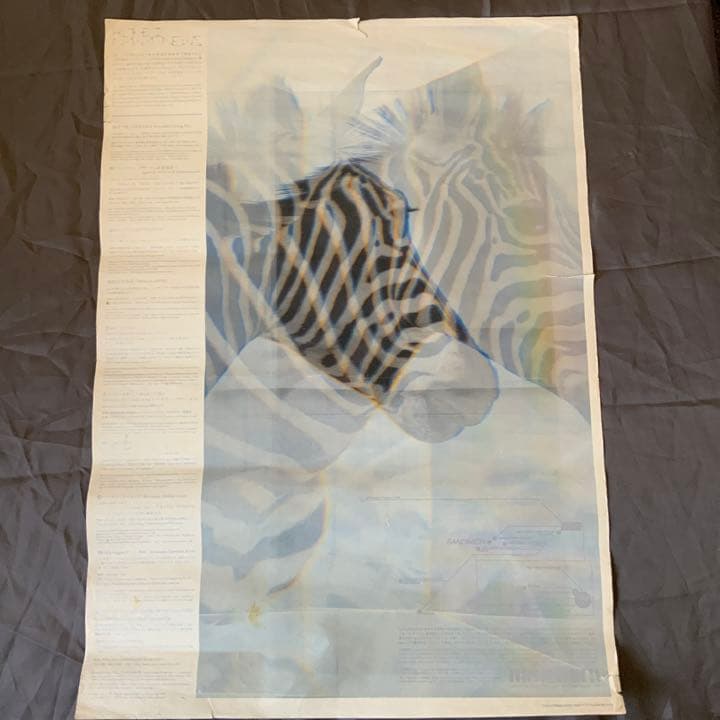 名和晃平　　シンセシス　ポスター