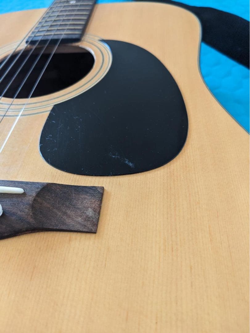 アコースティックギター WG-O