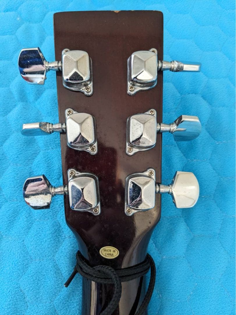 アコースティックギター WG-O