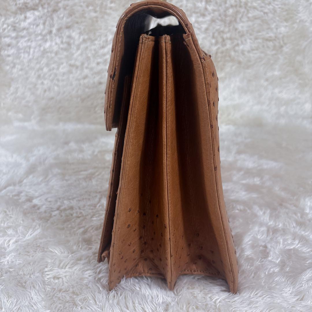 ビジネスバック オーストリッチ エキゾチックレザー JRA