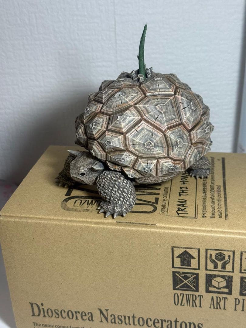 新品　ozwrt Dioscorea Nasutoceratops