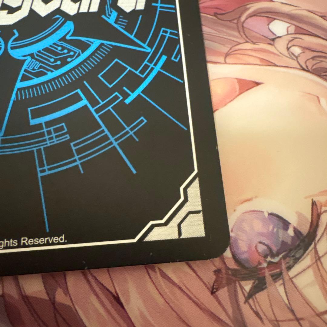 スノウスキップパルヴィ LSR ②